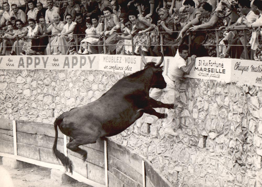 Pantalon raseteur vetra arles 1961